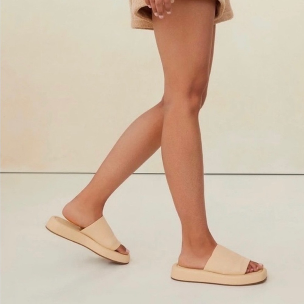 50%offw❤️ Dolce Vita cLear Rosco slide sandal in Cafe Stella 8 👠S4